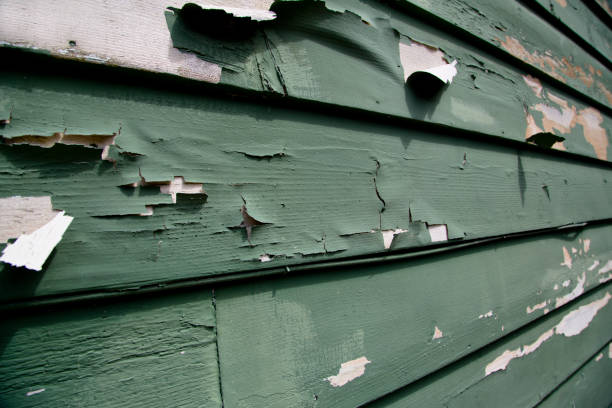 Andrews, SC Junk Removal Company